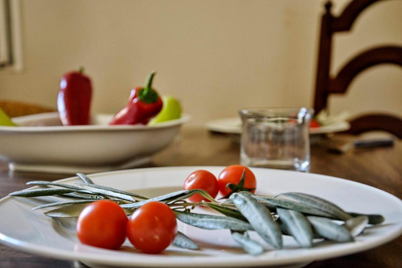 Historic Plaka Apartments Atina Dış mekan fotoğraf